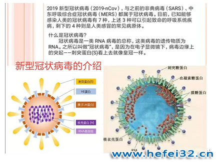 “病魔无情，师者有爱”系列报道之九 -----和衷共济，生物组在行动